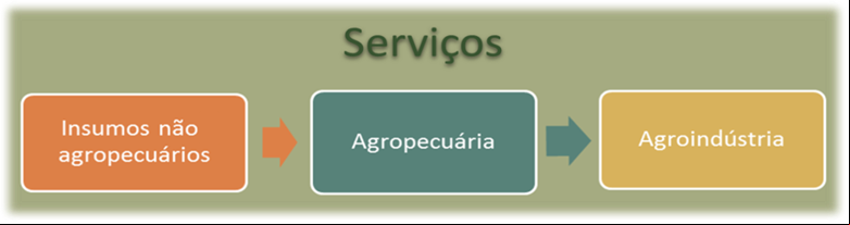 12 pib agro fev21