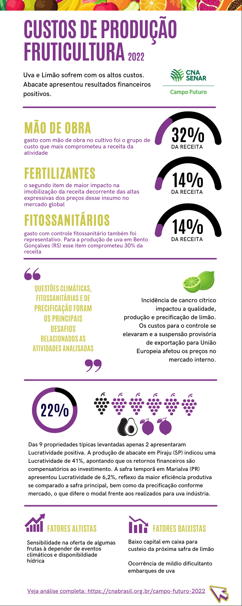 2 infograufico custos fruticultura Campo Futuro CNA 2022