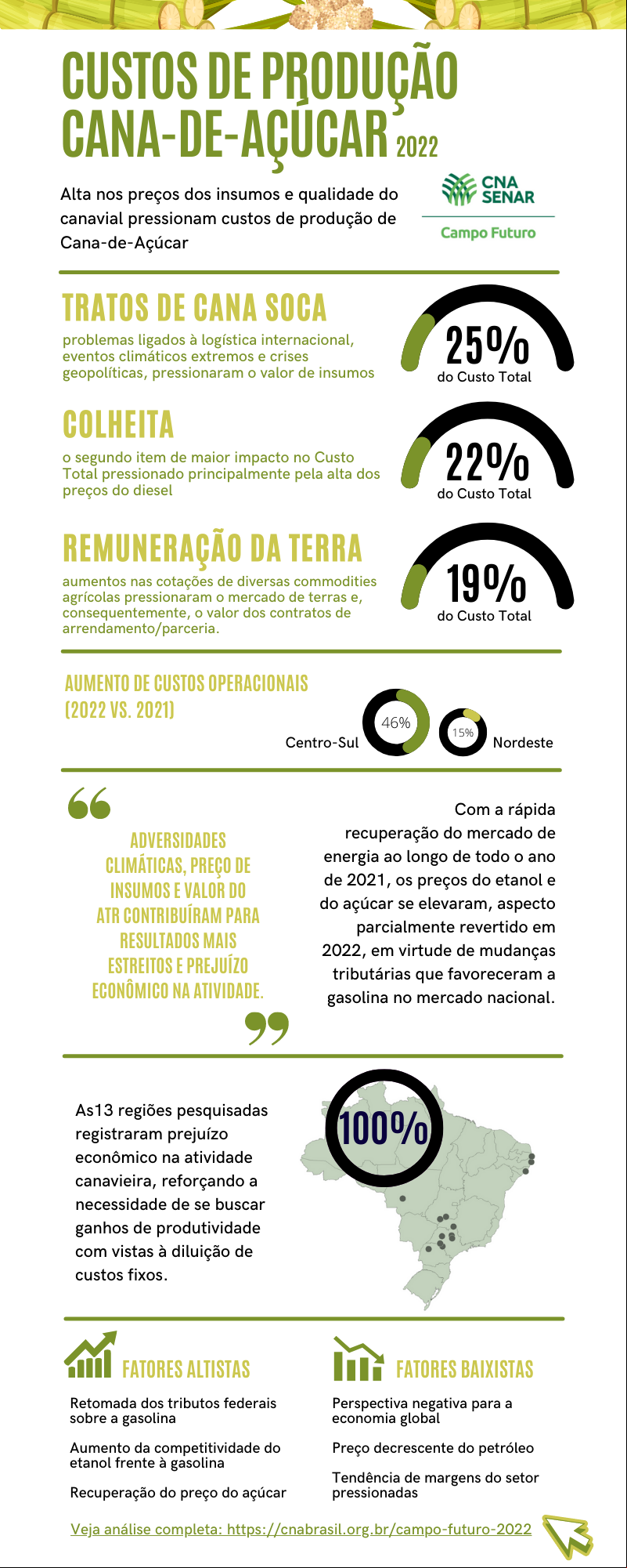 3 infograufico custos cana Campo Futuro CNA 2022