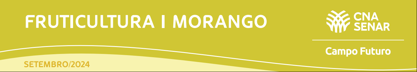 banner.png