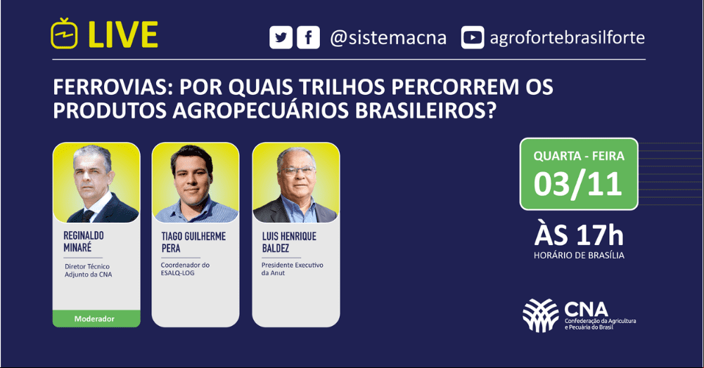 Ferrovias por quais trilhos percorrem os produtos agropecuarios brasileiros