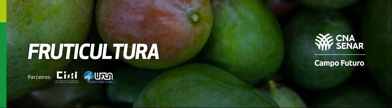 banner.png