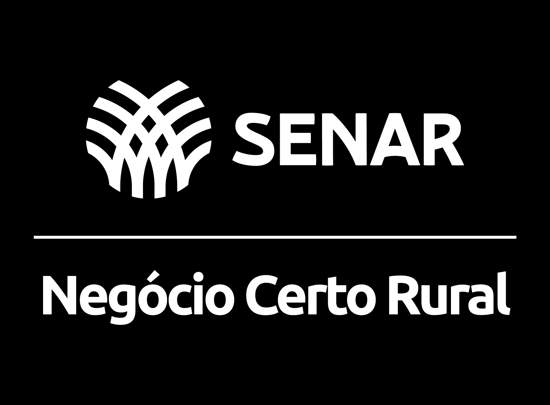Programa Negócio Certo Rural