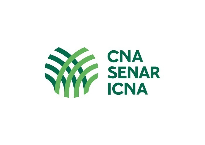 Marca Conjunta SISTEMA CNA
