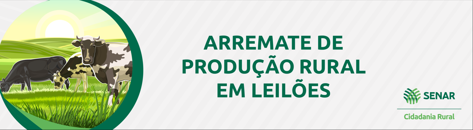 banner.png