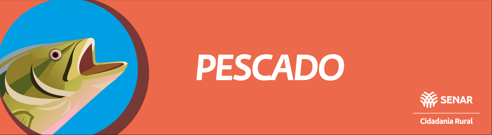 banner.png