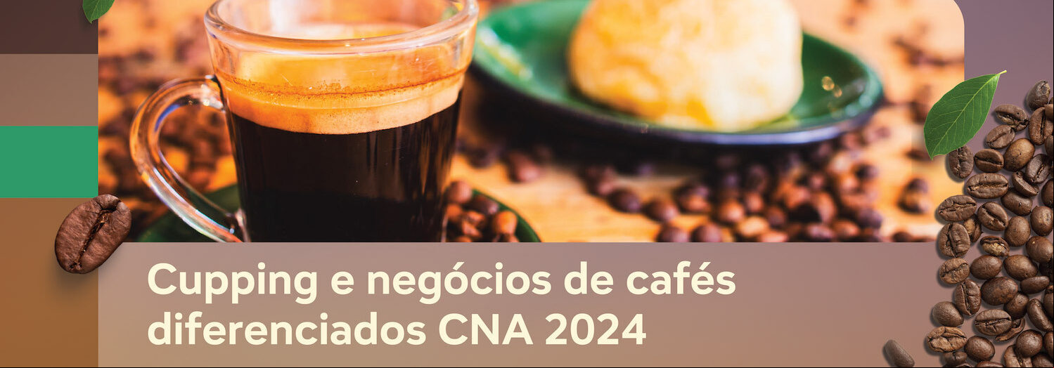Banner cupping 2024
