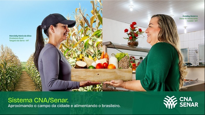 Campanha MT