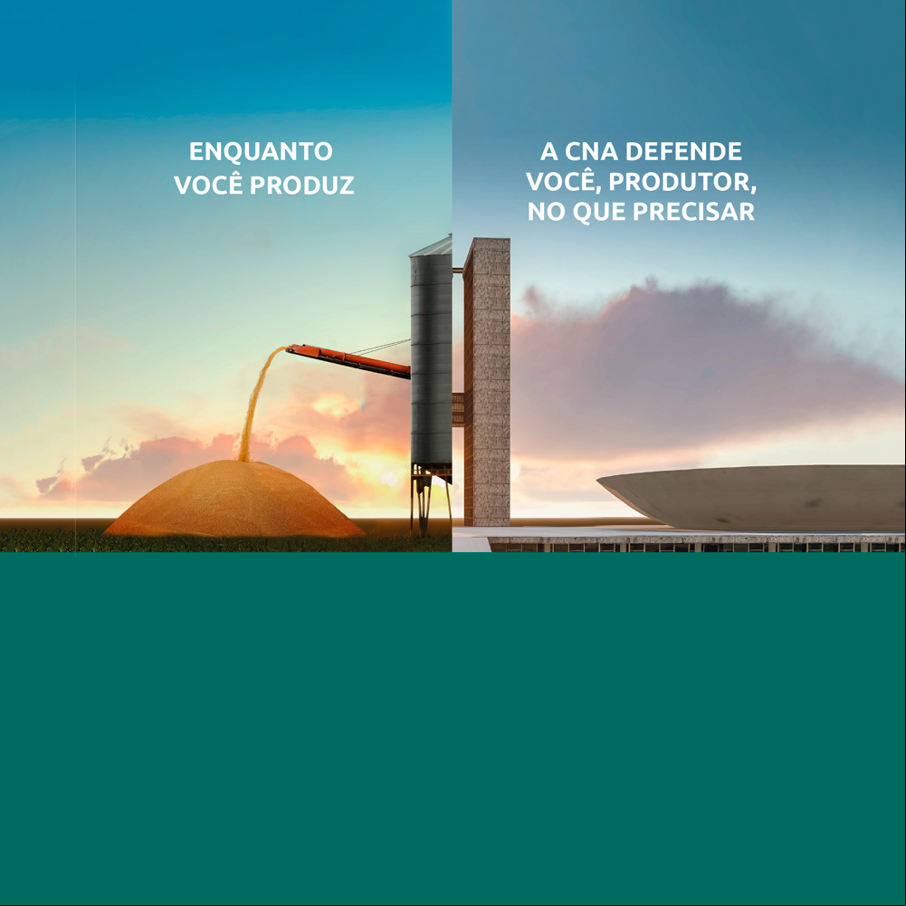 Contribuicao