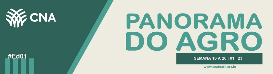 banner.png