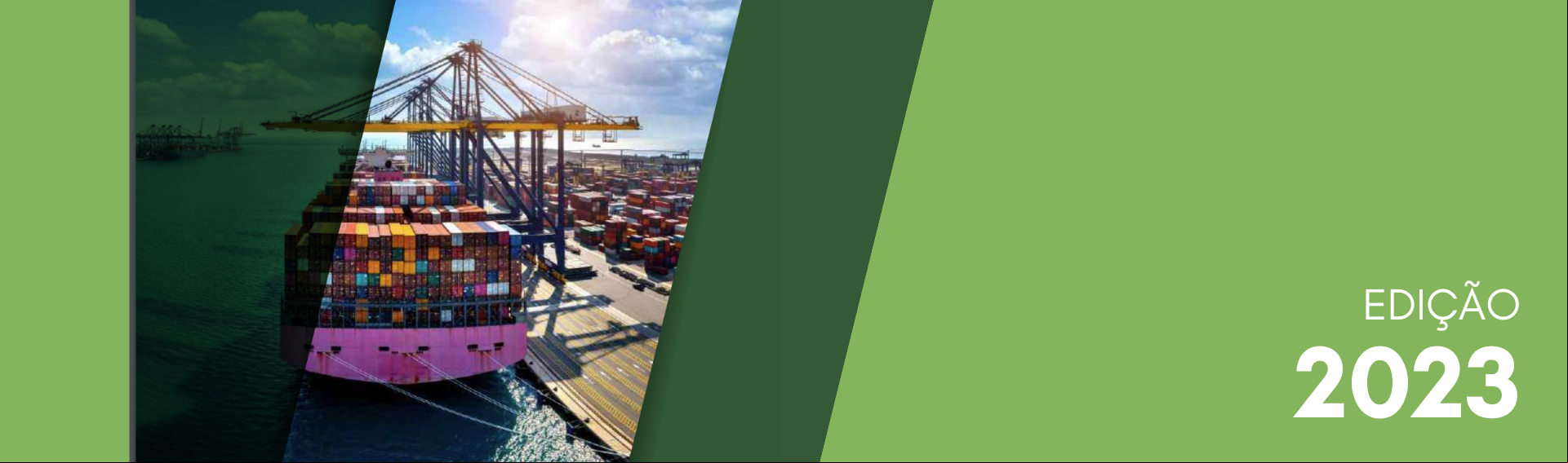 E-book: Capacitação em Internacionalização