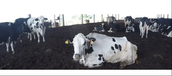 Compost Barn