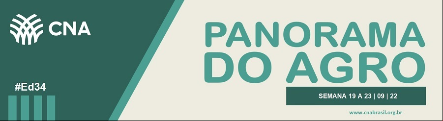 banner.png