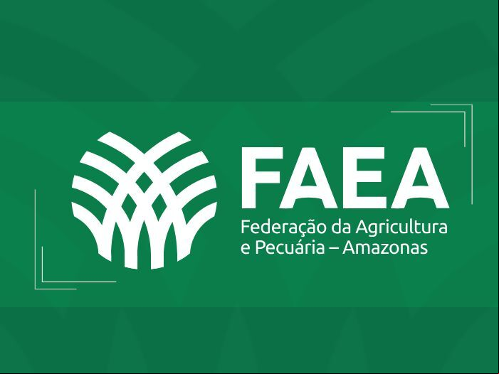 Noticia Logo