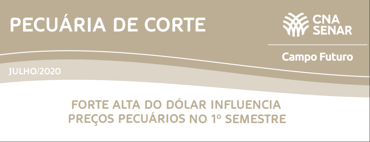 banner.png