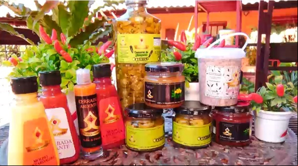 Produtos feitos pela mestre pimenteira Produtos feitos pela mestre pimenteira